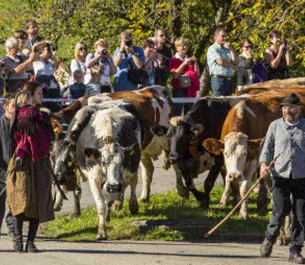 Grande Fête de la Transhumance