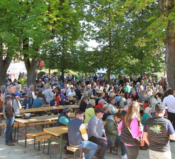 Fête du Vin Nouveau