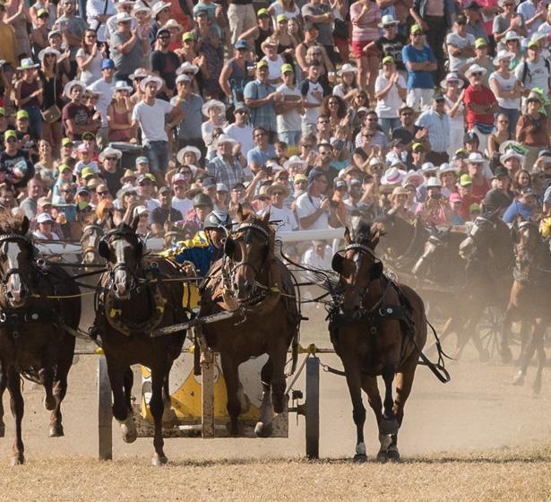 Quadrille, Vorführungen und Pferderennen